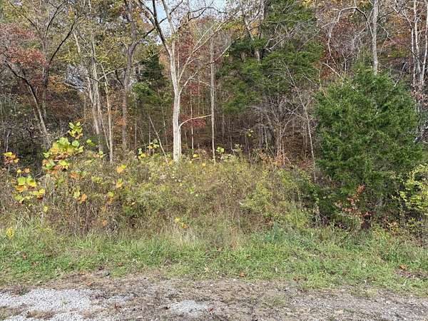 6.49 Acres of Residential Land for Sale in Waco, Kentucky