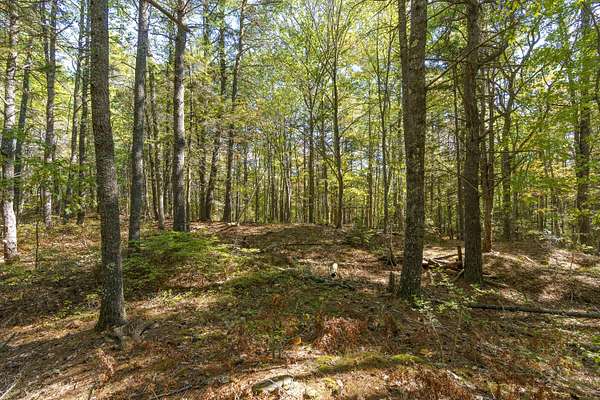 3.5 Acres of Residential Land for Sale in York Town, Maine
