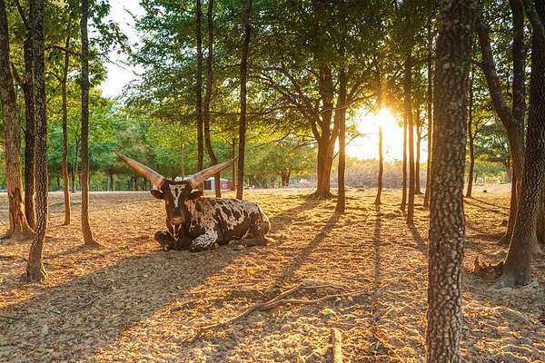 160 Acres of Land with Home for Sale in Okemah, Oklahoma