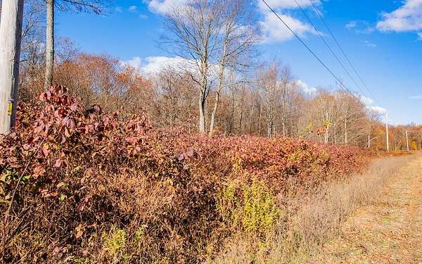 5.35 Acres of Residential Land for Sale in Shunk, Pennsylvania
