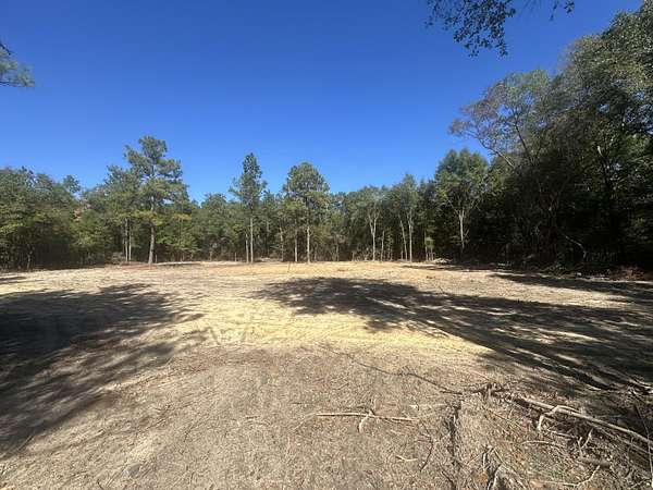 2 Acres of Residential Land for Sale in DeFuniak Springs, Florida