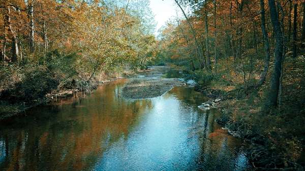 48.9 Acres of Land with Home for Sale in Stewart, Tennessee