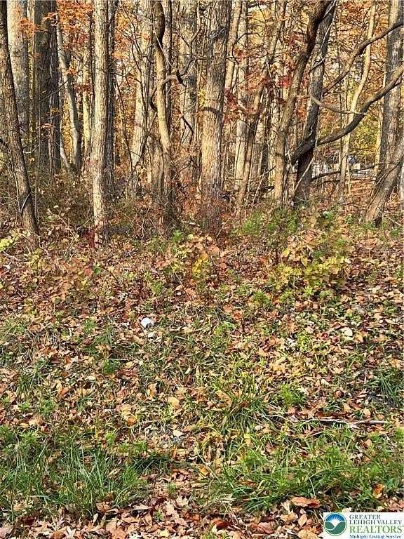 0.04 Acres of Residential Land for Sale in Bangor, Pennsylvania
