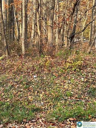 0.04 Acres of Residential Land for Sale in Bangor, Pennsylvania