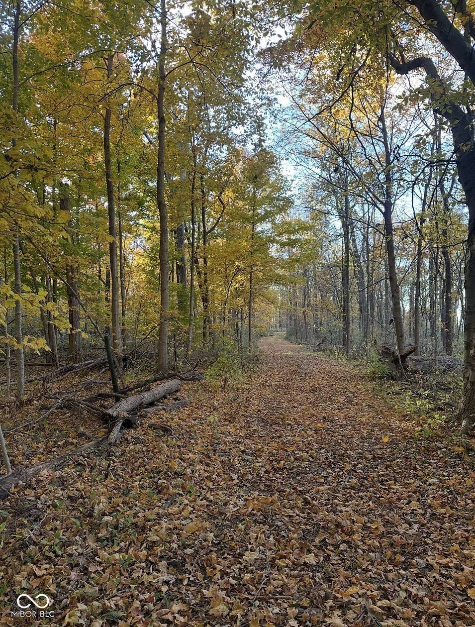 10 Acres of Residential Land for Sale in Noblesville, Indiana