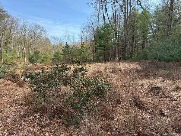 2.75 Acres of Residential Land for Sale in Bloomingburg, New York