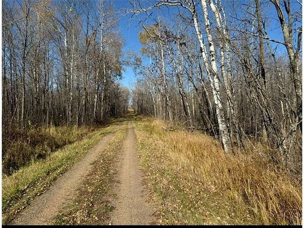 78.3 Acres of Recreational Land & Farm for Sale in Lee Township, Minnesota