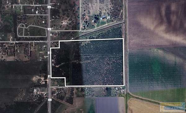 43.2 Acres of Land for Sale in Los Fresnos, Texas