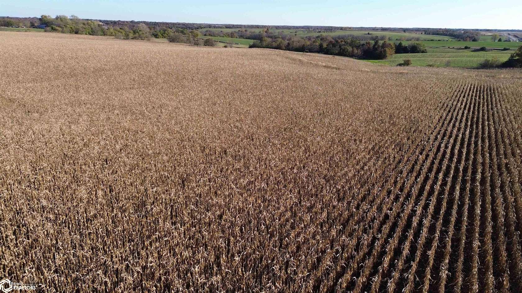 52 Acres of Land for Sale in Bloomfield, Iowa