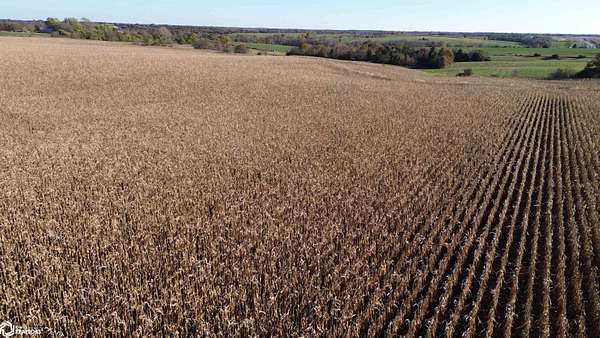 52 Acres of Land for Sale in Bloomfield, Iowa