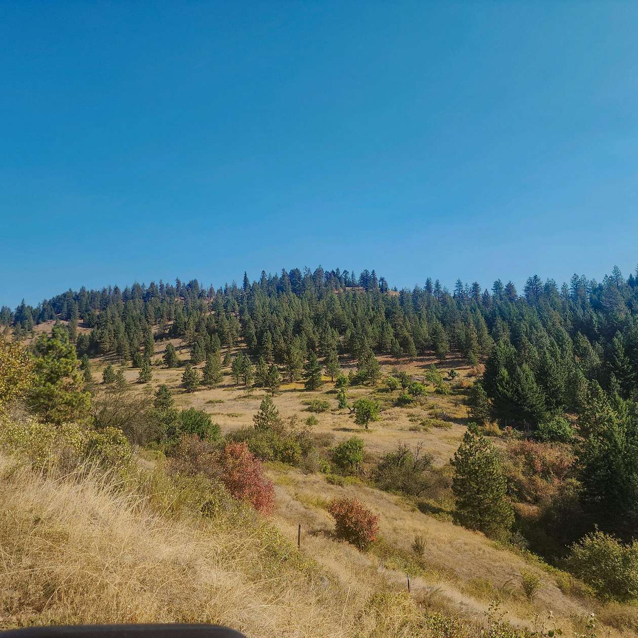 20 Acres of Land for Sale in Kettle Falls, Washington