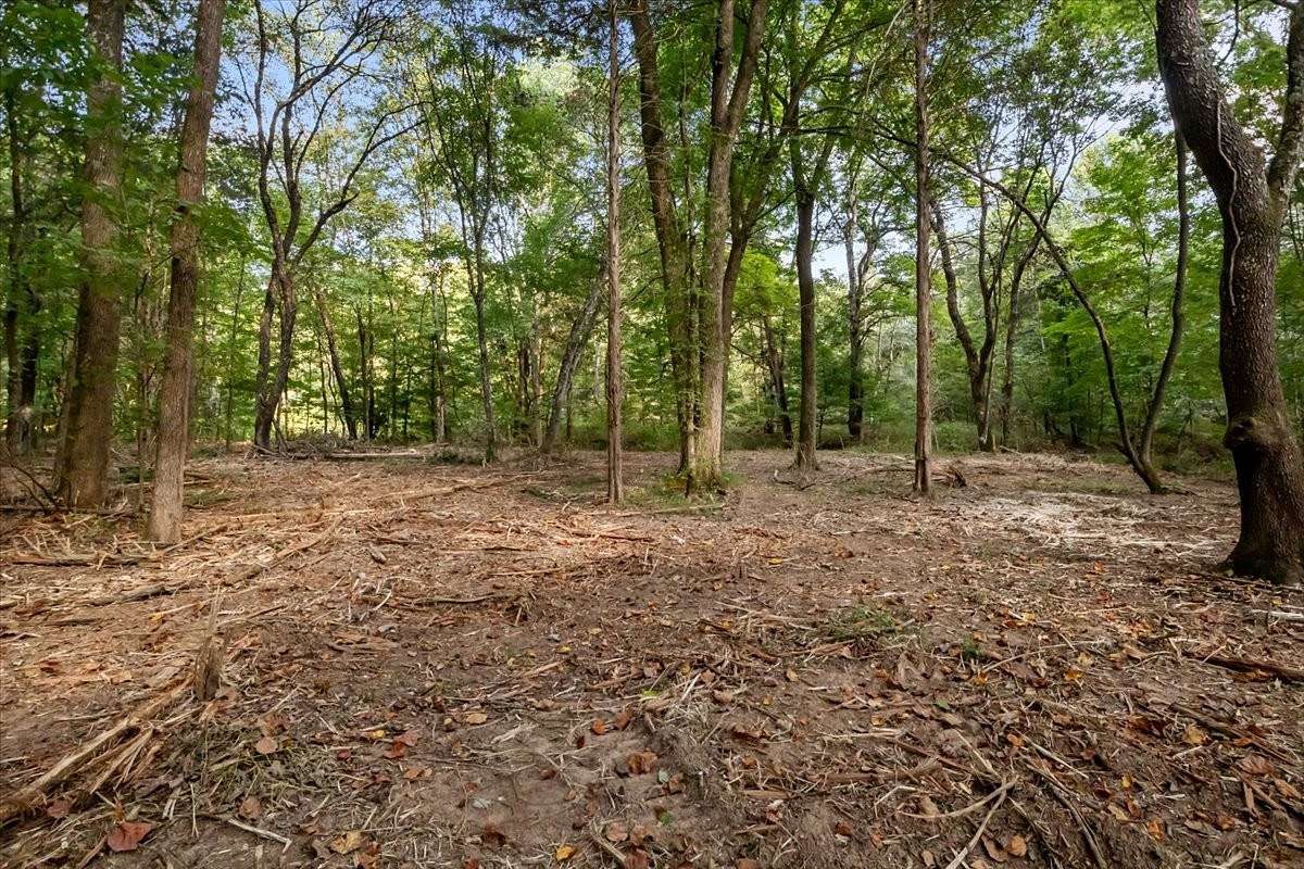 5 Acres of Residential Land for Sale in McEwen, Tennessee