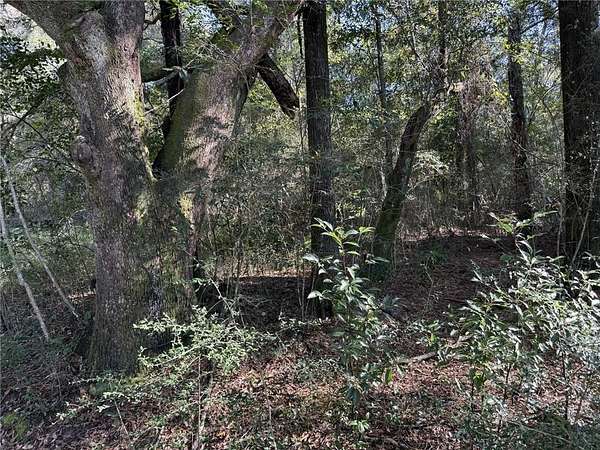 16 Acres of Land for Sale in Mobile, Alabama