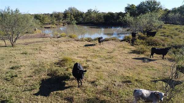 112 Acres of Recreational Land & Farm for Sale in Mount Calm, Texas