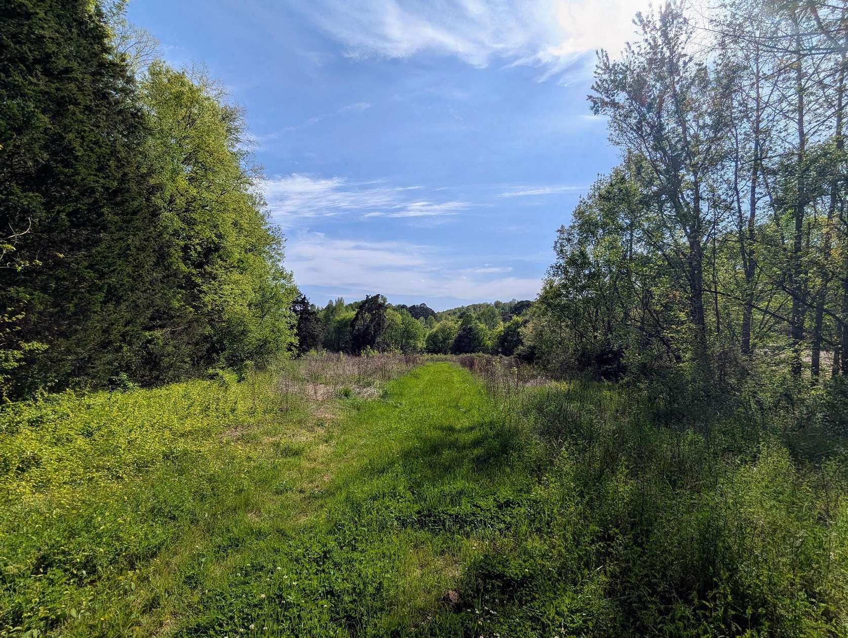 42 Acres of Recreational & Residential Land for Sale in Oldfort, Tennessee