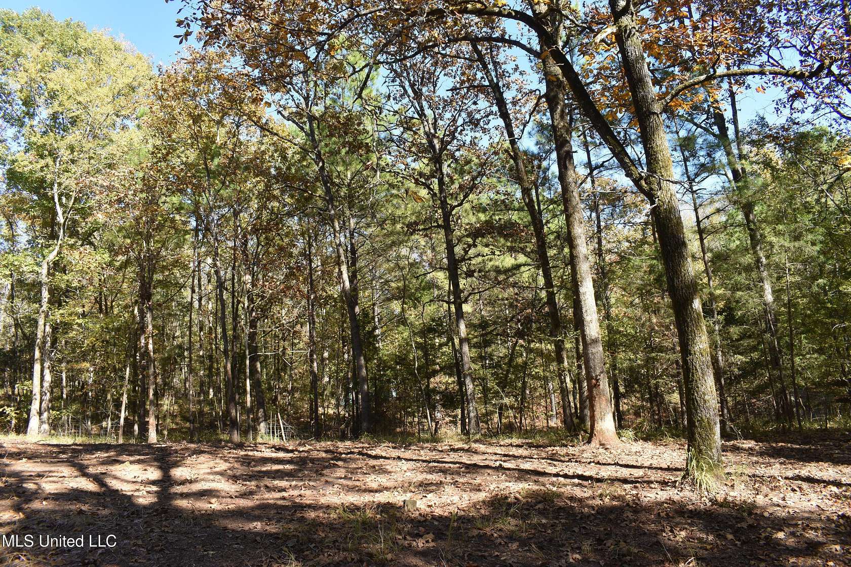 4.3 Acres of Land for Sale in Coldwater, Mississippi