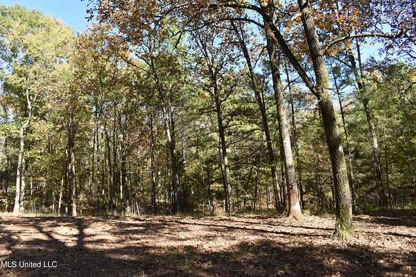 4.3 Acres of Land for Sale in Coldwater, Mississippi