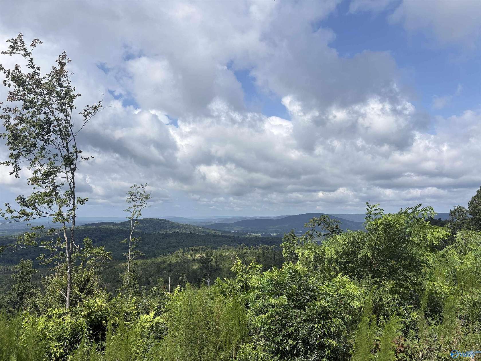 200 Acres of Recreational & Residential Land for Sale in Woodville, Alabama