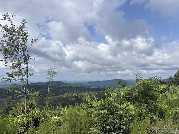 200 Acres of Recreational & Residential Land for Sale in Woodville, Alabama