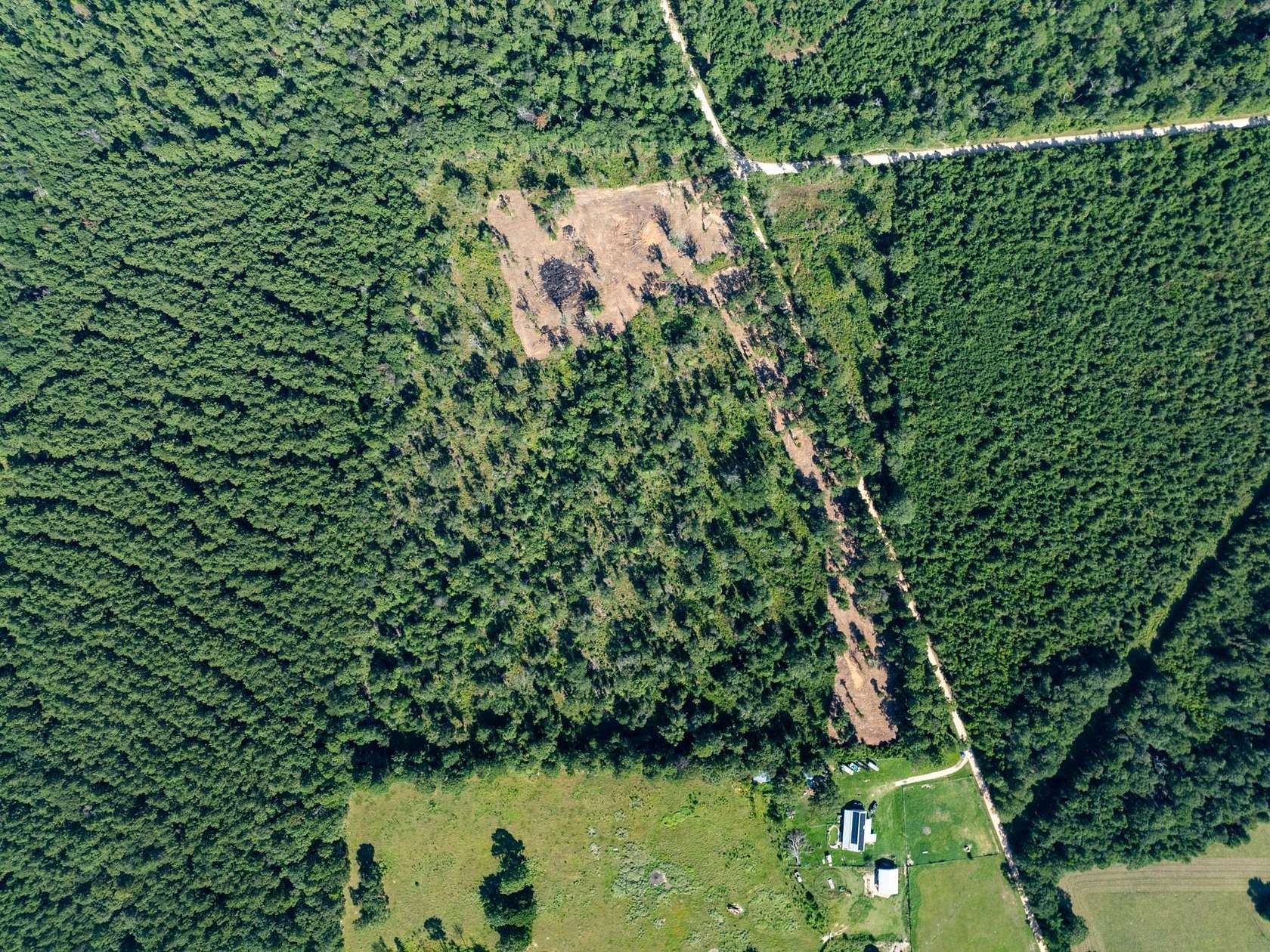 15.8 Acres of Recreational Land for Sale in Livingston, Texas