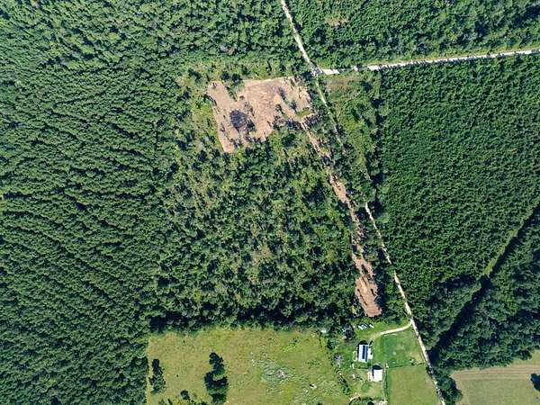 15.8 Acres of Recreational Land & Farm for Sale in Livingston, Texas