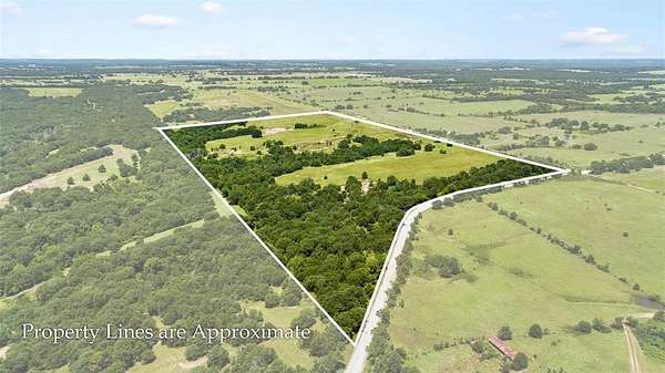 55.3 Acres of Land for Sale in St. Jo, Texas