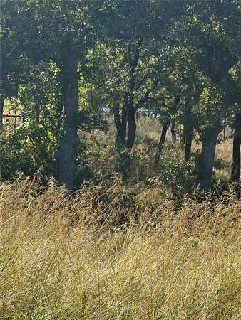 1 Acre of Residential Land for Sale in Chico, Texas