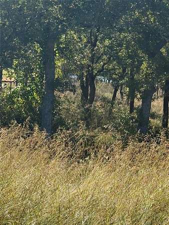 1 Acre of Residential Land for Sale in Chico, Texas