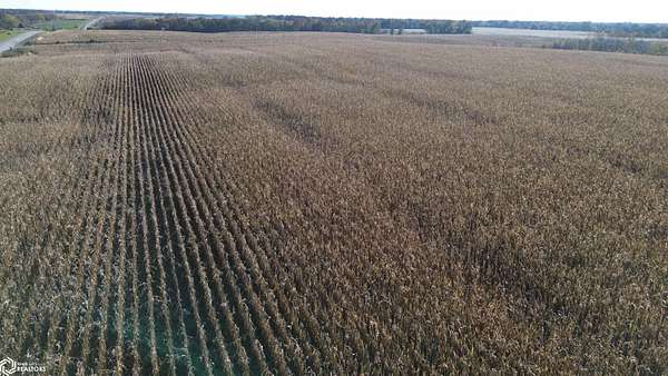 32 Acres of Recreational Land & Farm for Sale in Bloomfield, Iowa