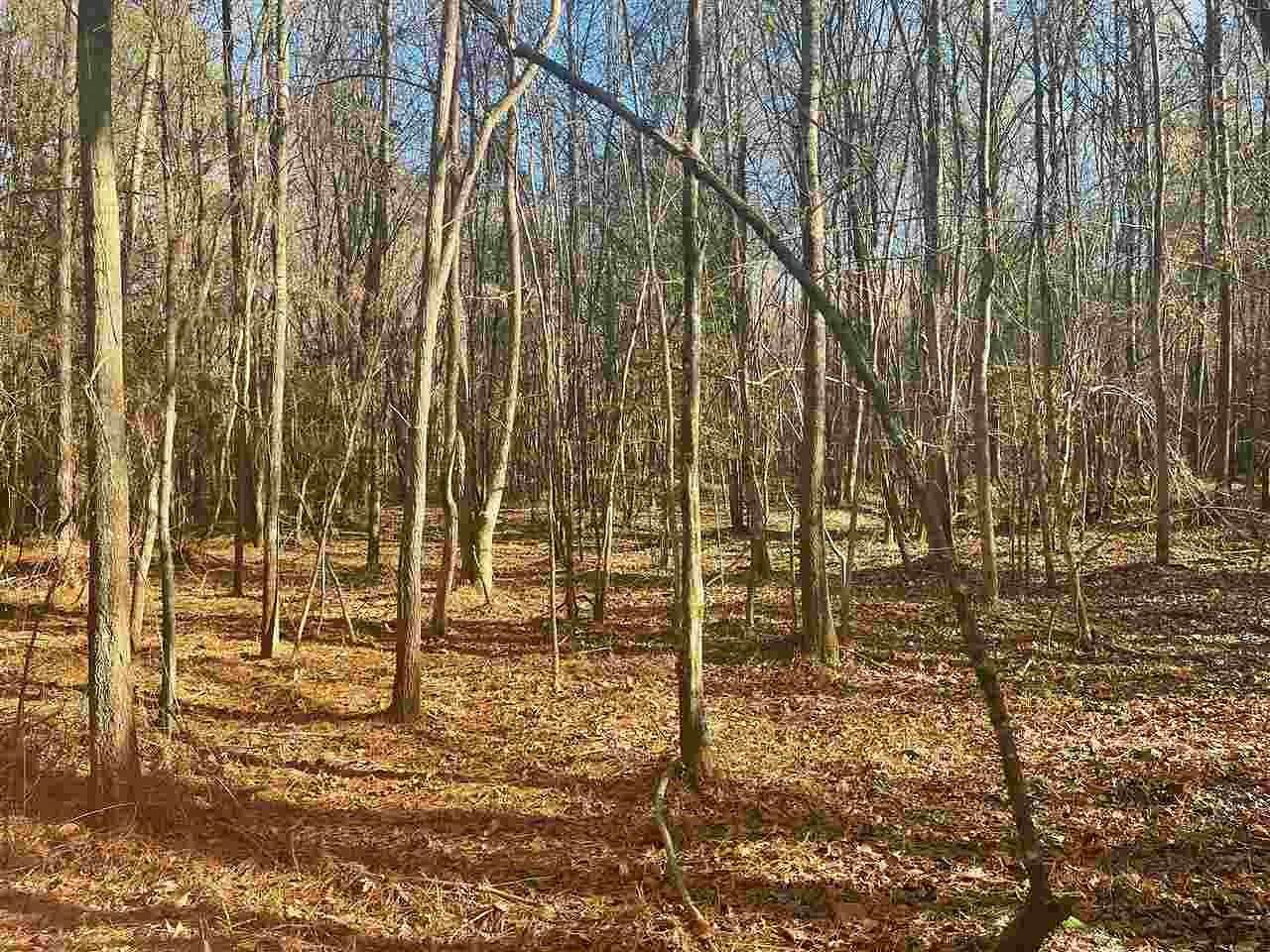 80 Acres of Recreational Land for Sale in Sheridan, Arkansas