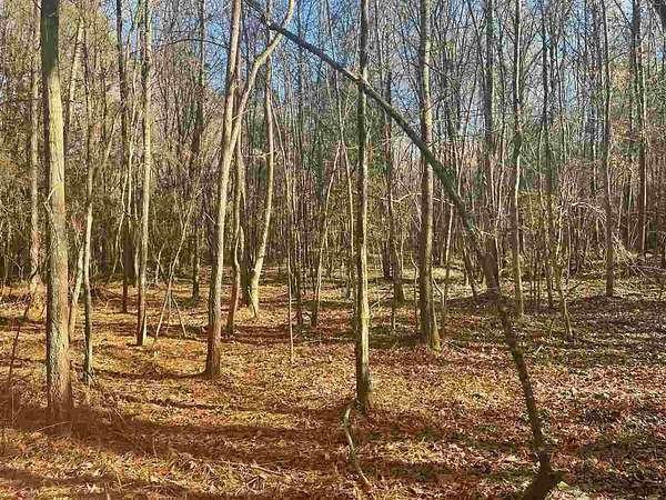 80 Acres of Recreational Land for Sale in Sheridan, Arkansas