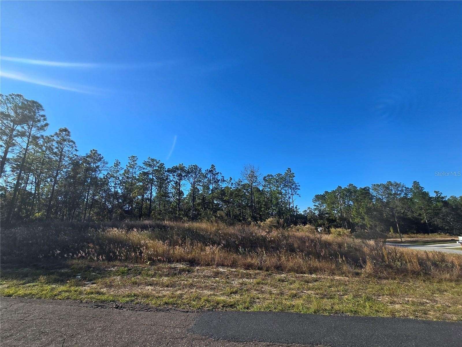 0.28 Acres of Residential Land for Sale in Citrus Springs, Florida