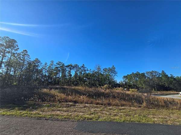 0.28 Acres of Residential Land for Sale in Citrus Springs, Florida