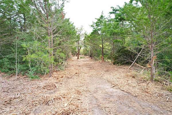 3.67 Acres of Residential Land for Sale in Flatonia, Texas