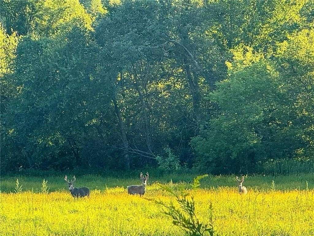 201 Acres of Recreational Land & Farm for Sale in Arkansaw, Wisconsin