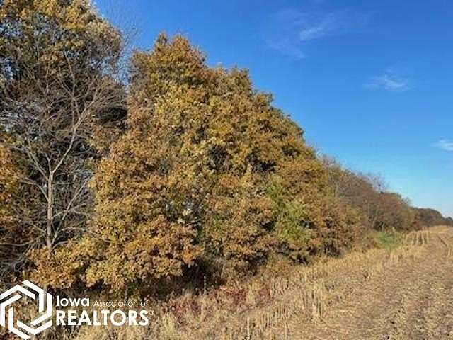 53 Acres of Agricultural Land for Sale in Mount Ayr, Iowa
