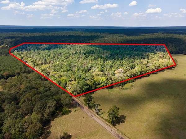 83.5 Acres of Recreational Land for Sale in Shelbyville, Texas