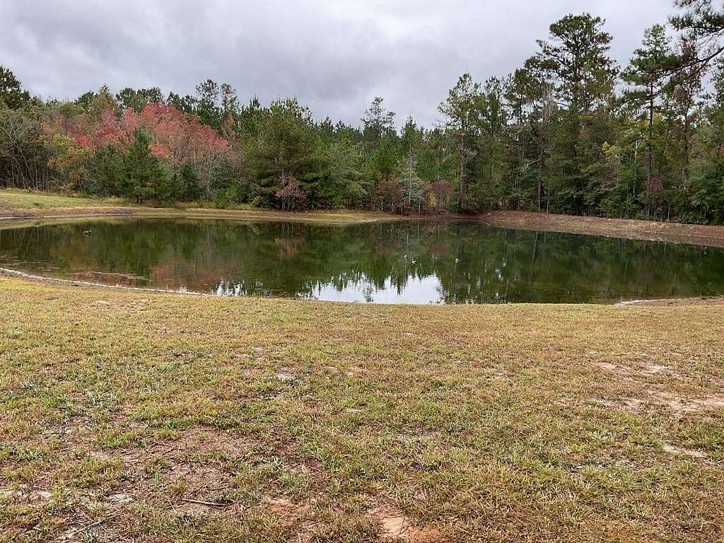 15.5 Acres of Land with Home for Sale in Georgiana, Alabama