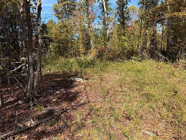 2.5 Acres of Residential Land for Sale in McKenzie, Tennessee