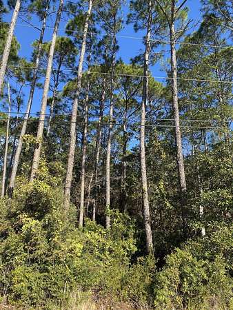 0.46 Acres of Residential Land for Sale in Navarre, Florida