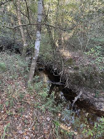 20.3 Acres of Recreational Land & Farm for Sale in DeFuniak Springs, Florida