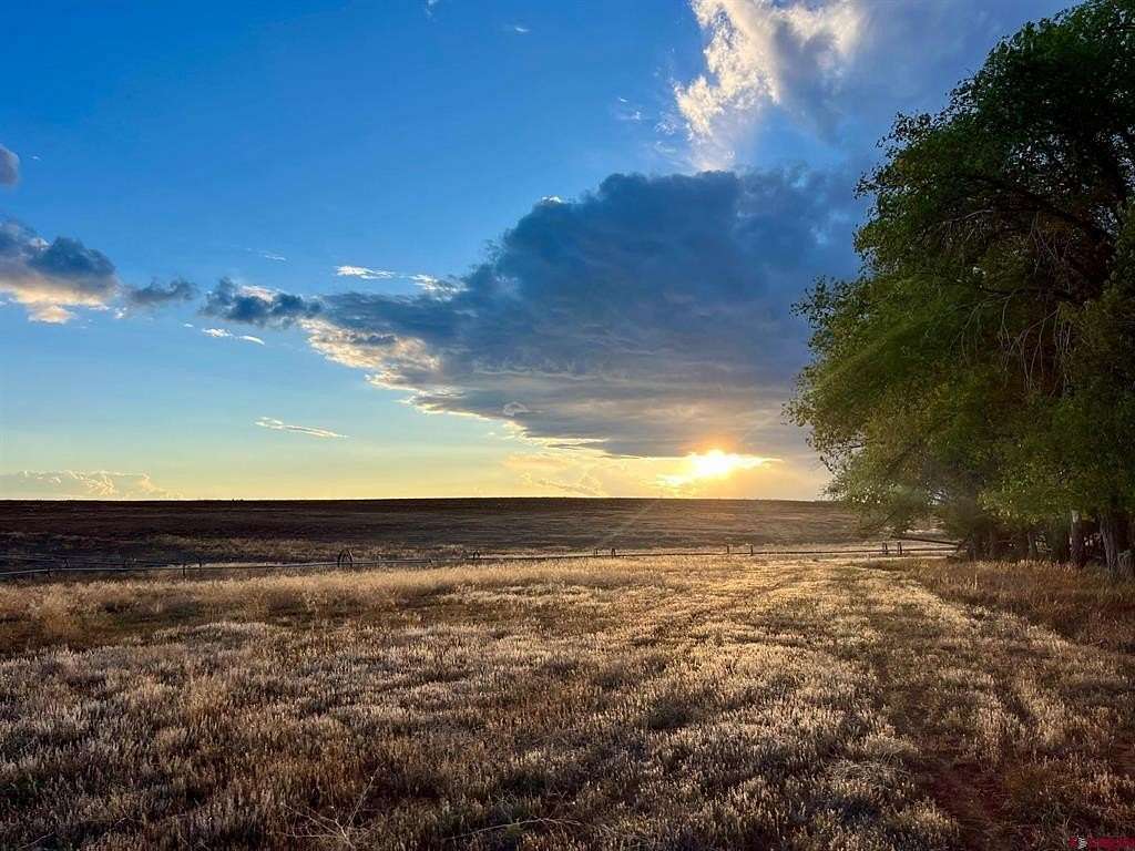 70 Acres of Agricultural Land for Sale in Yellow Jacket, Colorado