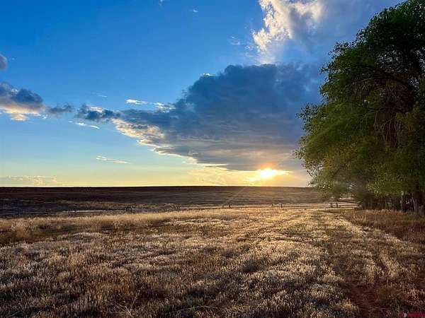 70 Acres of Agricultural Land for Sale in Yellow Jacket, Colorado