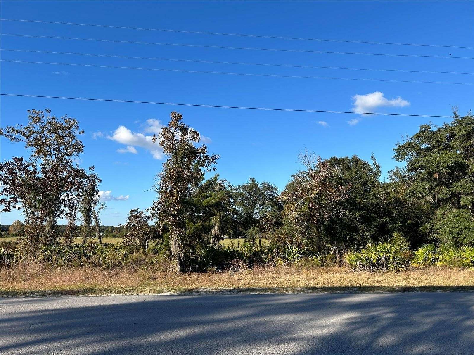 0.23 Acres of Land for Sale in Williston, Florida