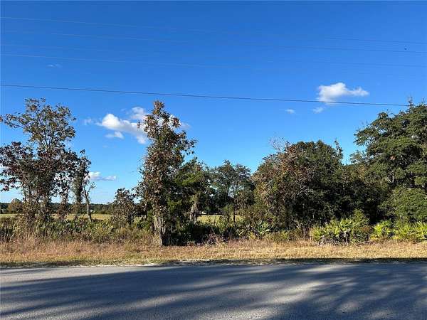 0.23 Acres of Land for Sale in Williston, Florida