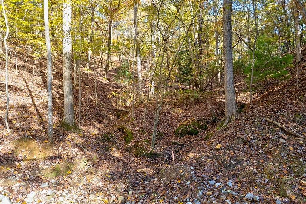 1.14 Acres of Land for Sale in Ellijay, Georgia