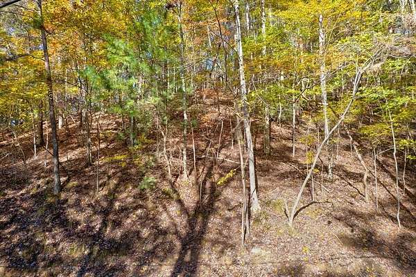 1.14 Acres of Residential Land for Sale in Ellijay, Georgia