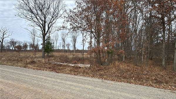40 Acres of Recreational Land for Sale in Granton, Wisconsin