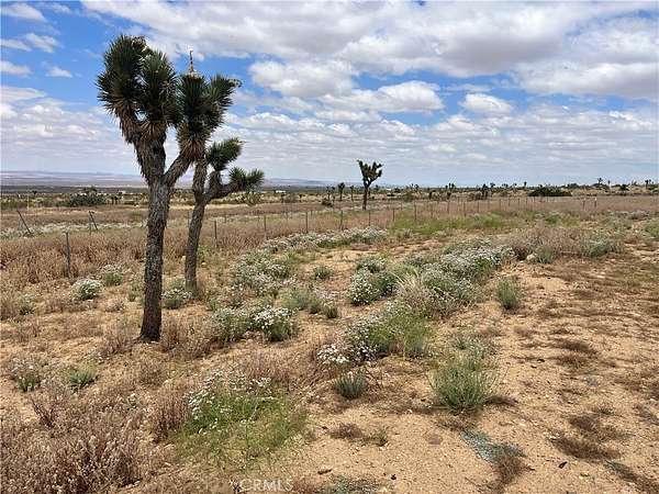 3.35 Acres of Land for Sale in Llano, California