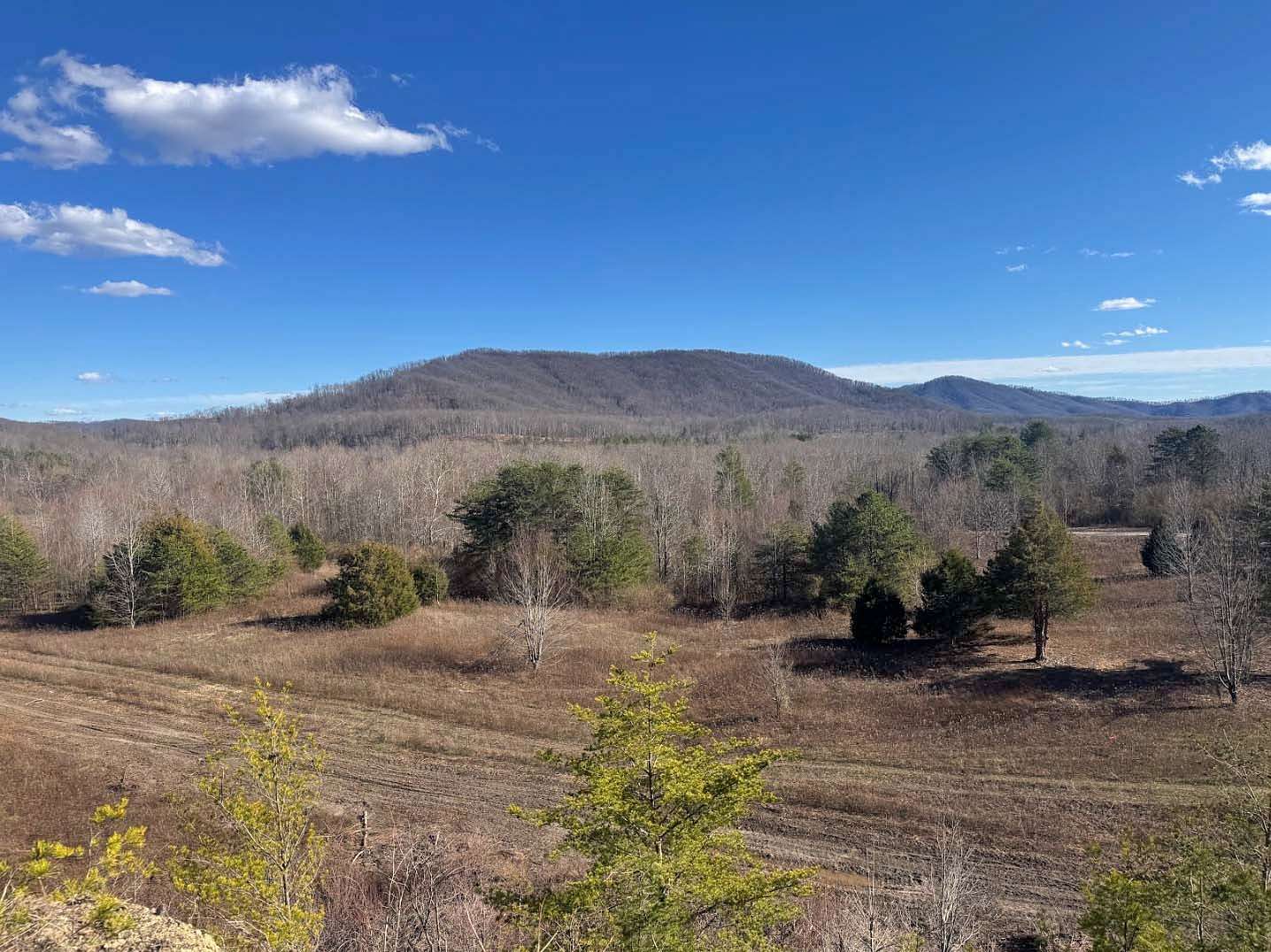 13.7 Acres of Recreational Land for Auction in Sunbright, Tennessee